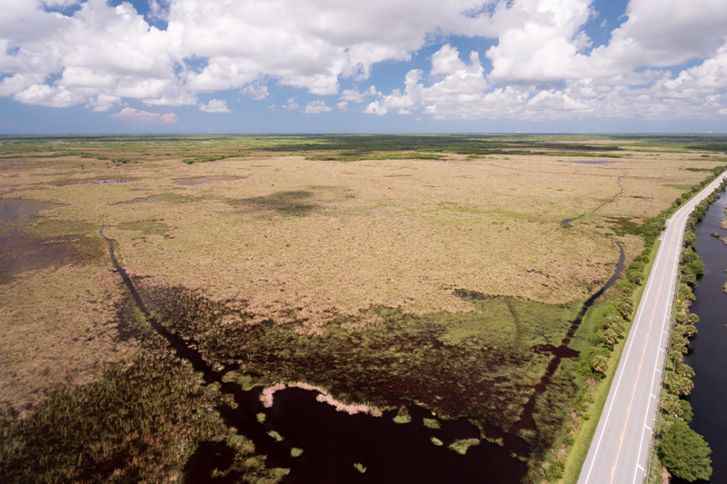 land management - Barron Collier